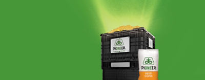 The Opportunity to Strike Gold in 2026