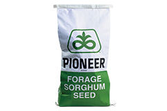 Forage Sorghum Seed Bag - Pioneer