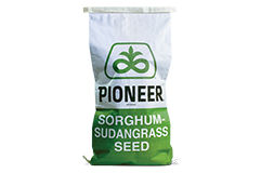 Sorghum-Sudangrass Seed Bag - Pioneer