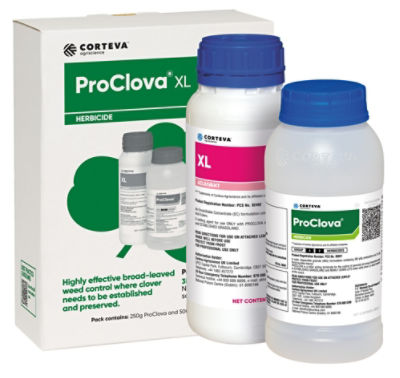 img-proclova-ie-v2