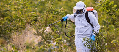 Tudo o que você precisa saber sobre o uso de herbicidas para pastagem
