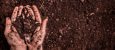 Análise de solo, o início de tudo