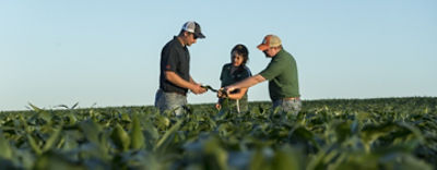 three people standing in field