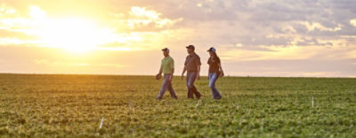 Enriching Lives - people walking in soybeans
