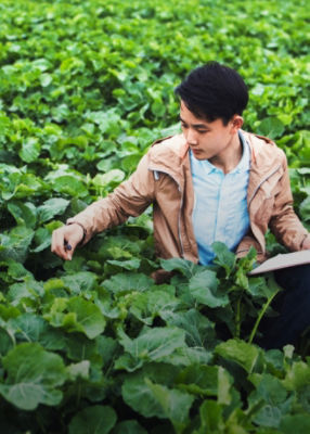Man holding tablet in field