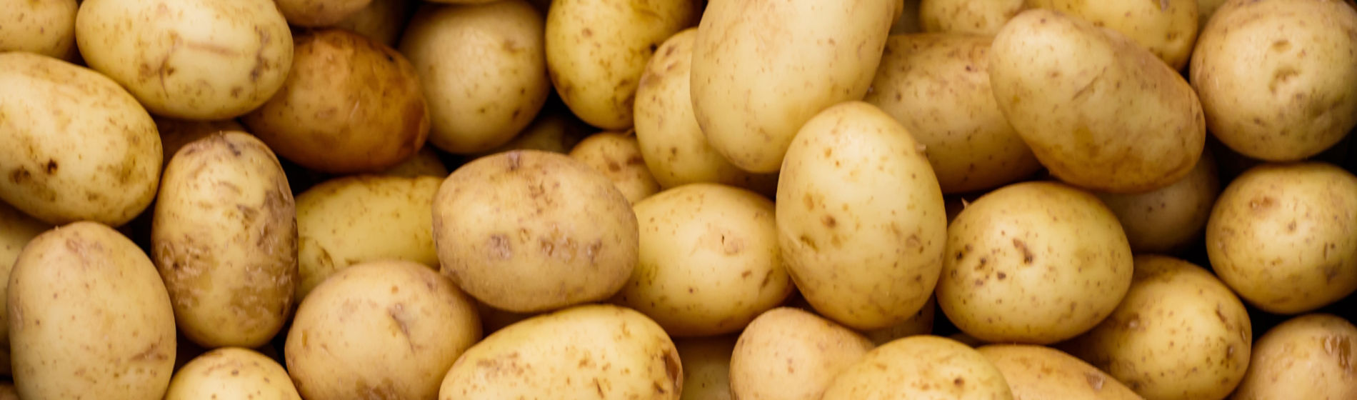Potato Banner