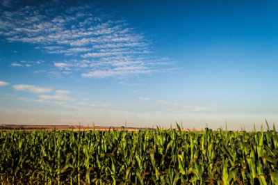 Banner Rodape PowerCore Ultra