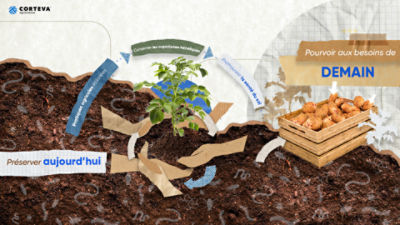 Le cycle de la santé du sol