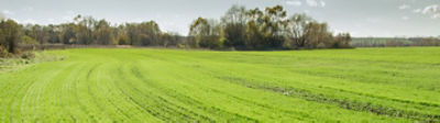 IMG-Resilient-Corteva-EU_UK-v2