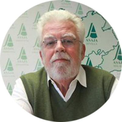 Ricardo Serra