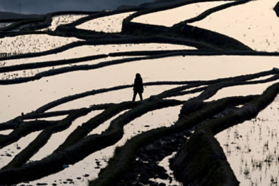 A person walking on terrain