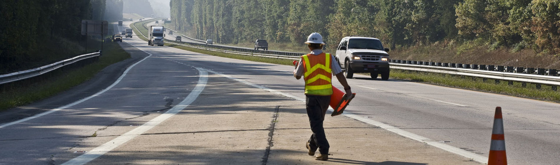 Roadside vegetation manager