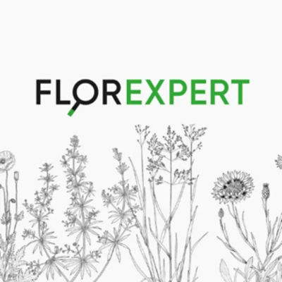 FLOREXEPERT : Vous saurez tout sur les adventices !