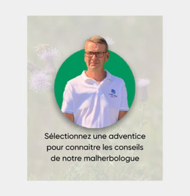 FLOREXEPERT : Vous saurez tout sur les adventices !