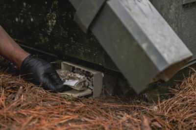 Sentricon Recurit AG bait station located exterior foundation of building