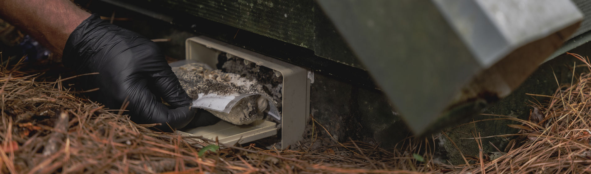 Sentricon Recurit AG bait station located exterior foundation of building