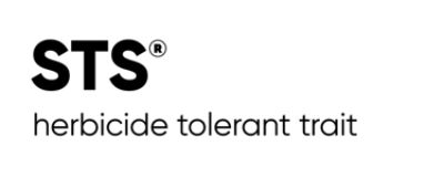 STS logo
