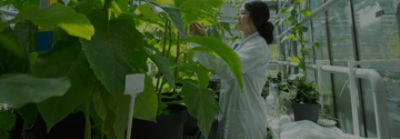 Scientist in lab with plants