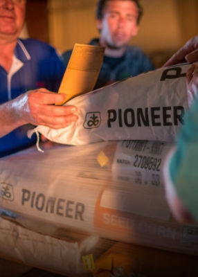 Pioneer branded seed bags