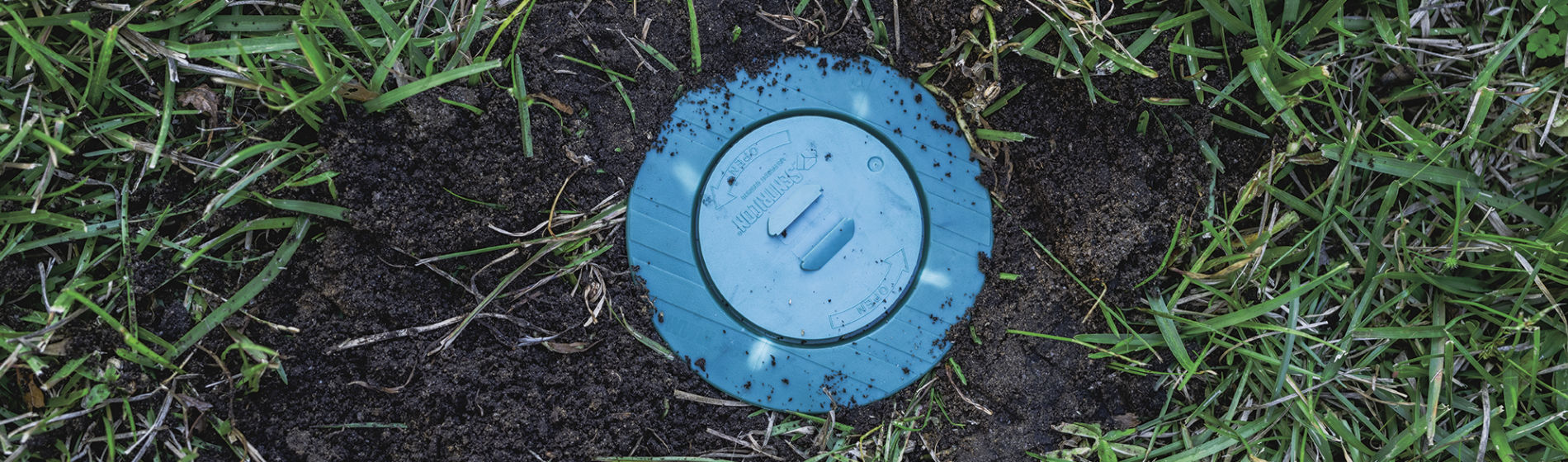 Sentricon bait station in ground