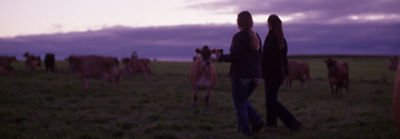 Silhouette of women in cow pasture
