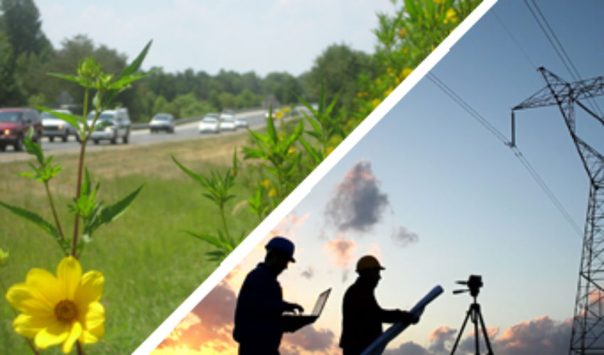 one image of a flower along a roadside, one image with technicians under a ROW, and one image of two people talking in a ROW