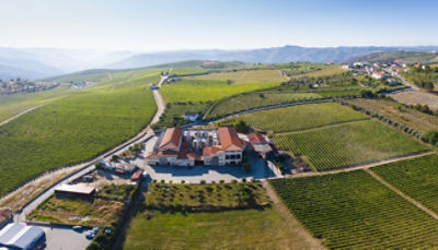 Drone_sky_view over crops