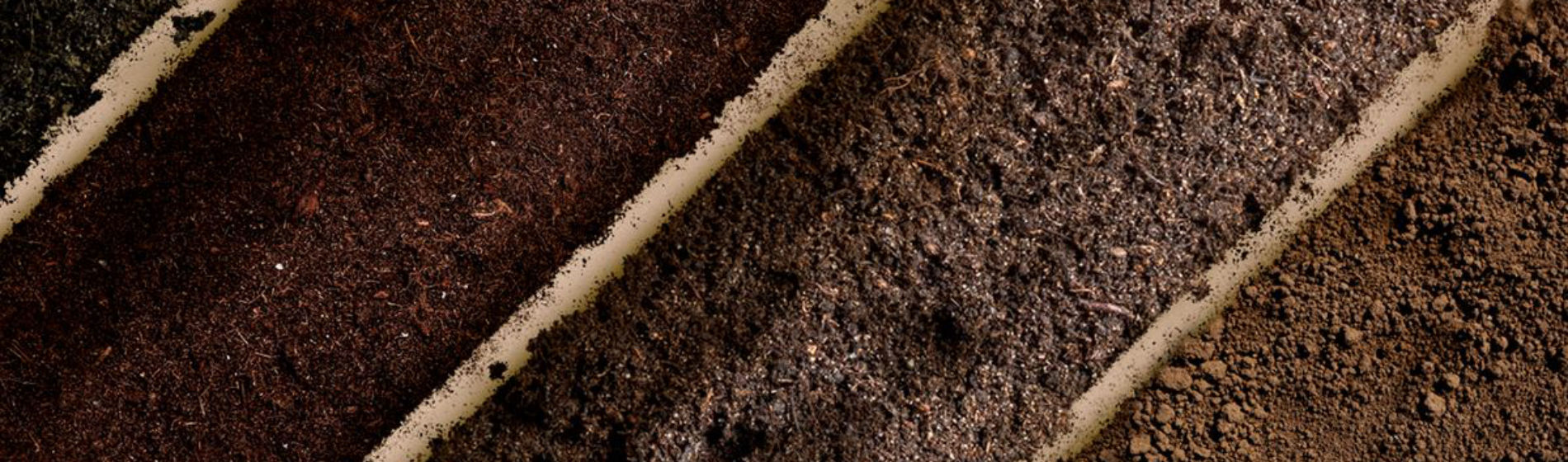 Soil for tomorrow