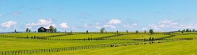 Solutions prairies
