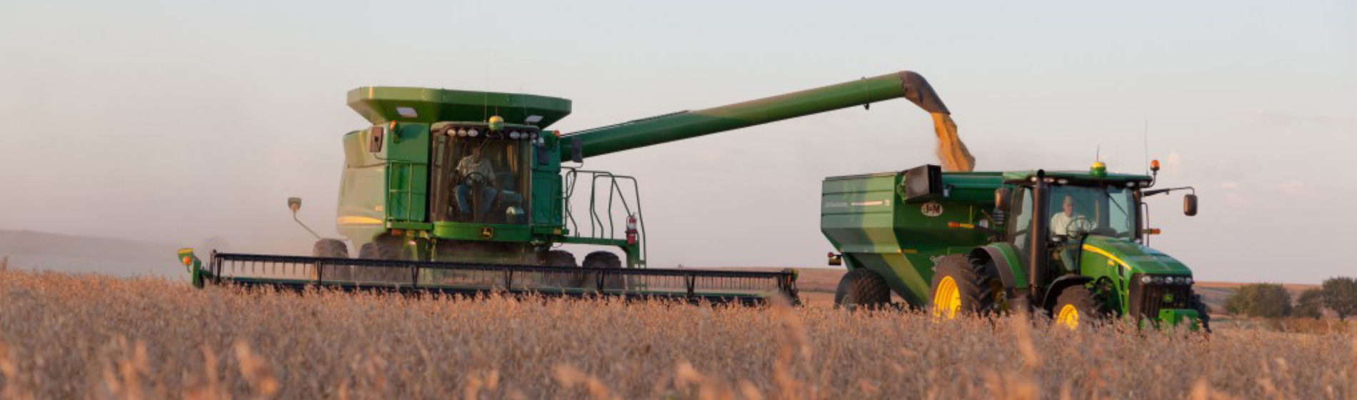 Soybean harvest combine and hopper