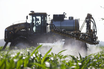 Sprayer in corn field