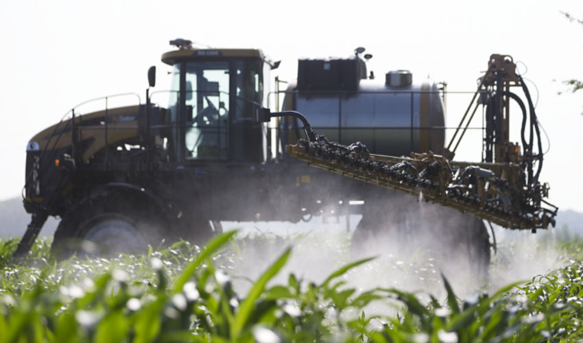 Sprayer in corn field