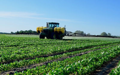 Spraying soybeans