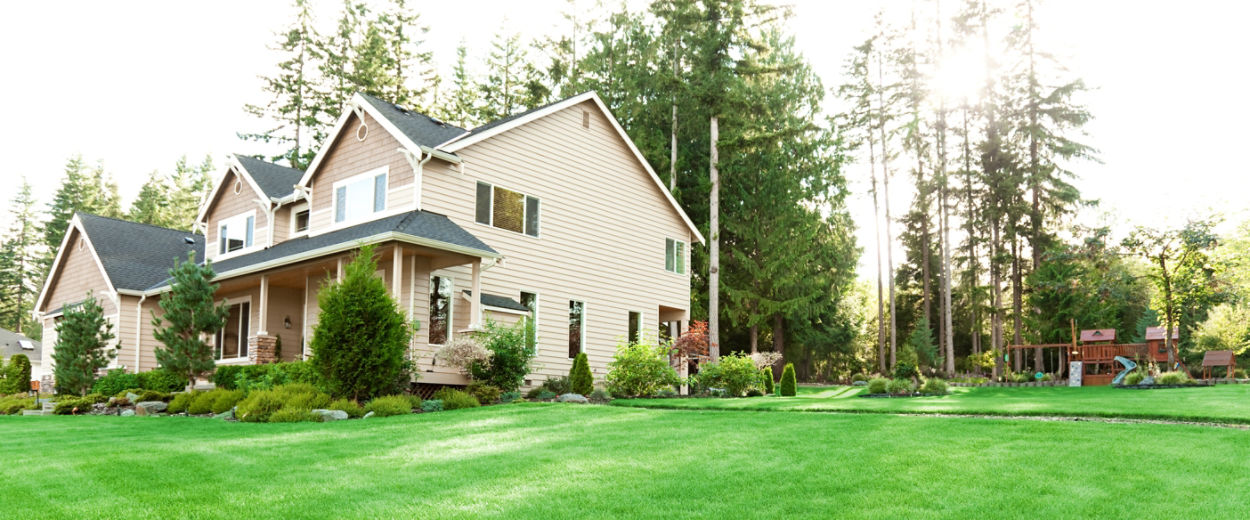 A two-story suburban home bordered by landscaped shrubs and tall evergreen trees, with a large, fres