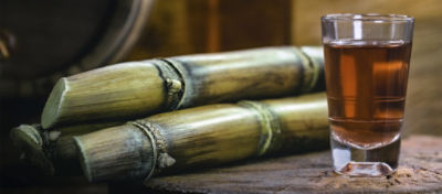 pieces of sugar cane and a glass of caramel colored liquid on a table