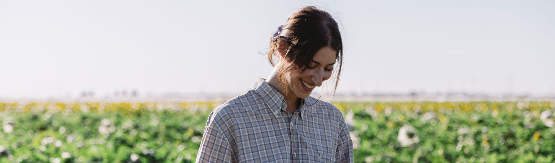 TalentA imagen principal 2024