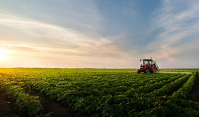 Tractor spraying pesticides on soybean field  with sprayer at spring