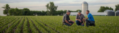 Three men crouch in a crop field and talk to each other with trees and farm buildings in the background.