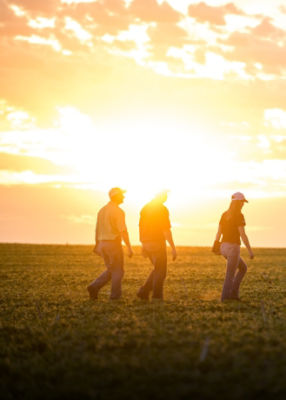 Three people walk on field