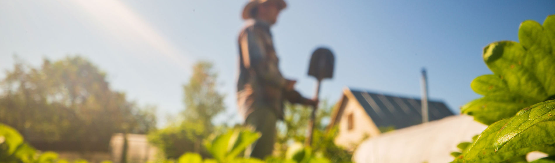 ¿Tiene la IA hueco en el sector agroalimentario?