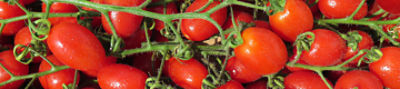 Tomate