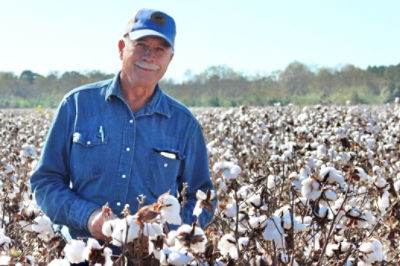 Tommy Matthews Cotton Farmer