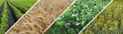 Tous nos produits