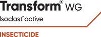 Transform WG logo