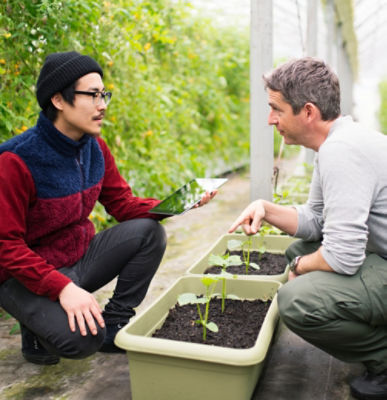 Men analyze plants with tablet