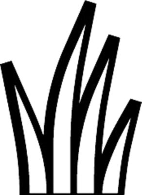 Grass