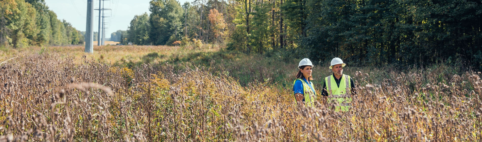 utility vegetation managers