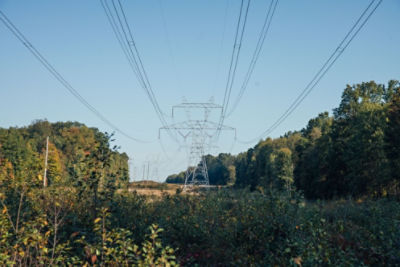 Vegetation management under a utility line