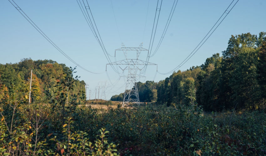 Vegetation management under a utility line