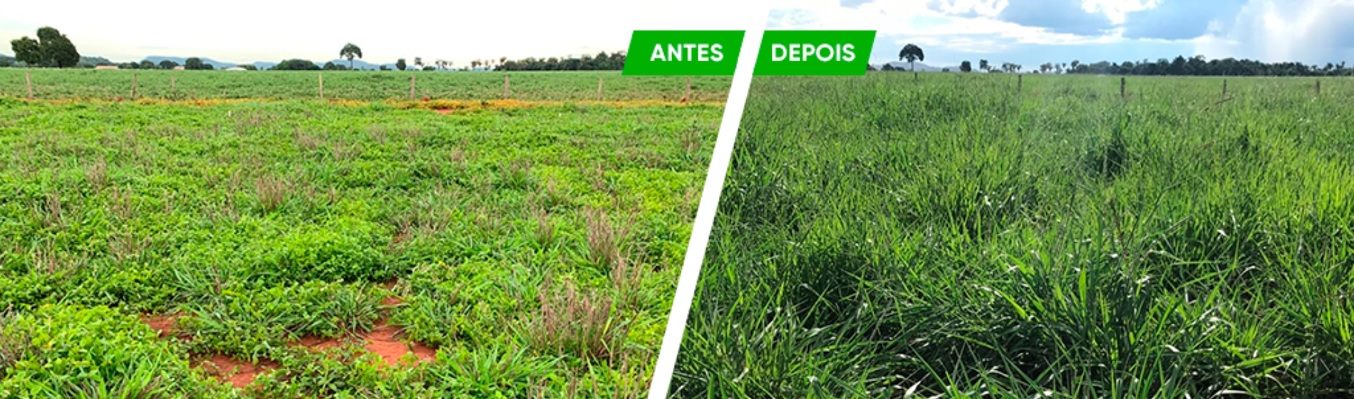 Antes e depois